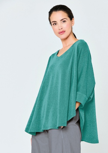 Requin - cape