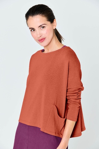 Renne - pull 
